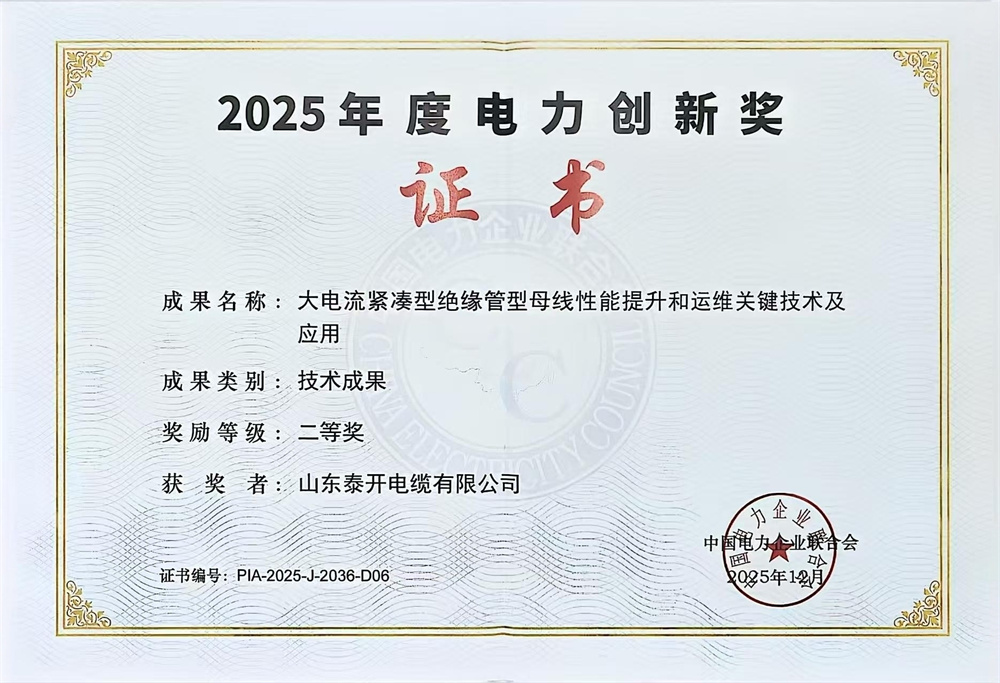 中國電力企業聯合會電力創新獎（大電流緊湊型絕緣管型母線性能提升及運維關鍵技術及應用）